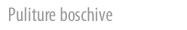 Puliture boschive