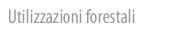 Utilizzazioni forestali
