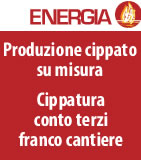Biomassa da energia